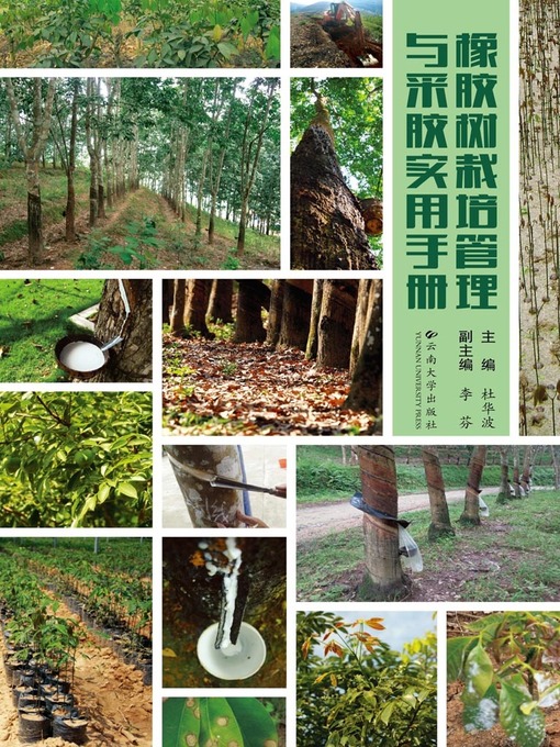 Title details for 橡胶树栽培管理与采胶实用手册 (Handbook for Rubber Tree Cultivation and Propolis Collection) by Dong Huabo - Available